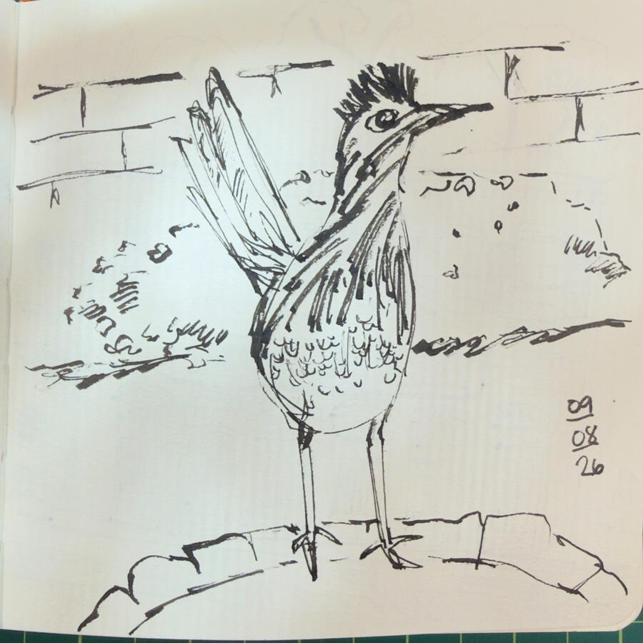 Roadrunner